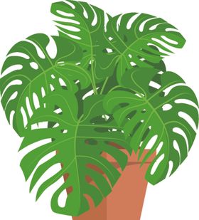 盆景盆栽