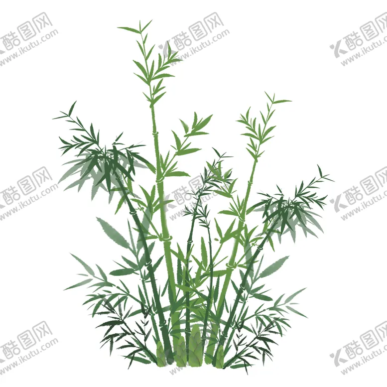 编号：76920509220913416815【酷图网】源文件下载-竹子插画素材
