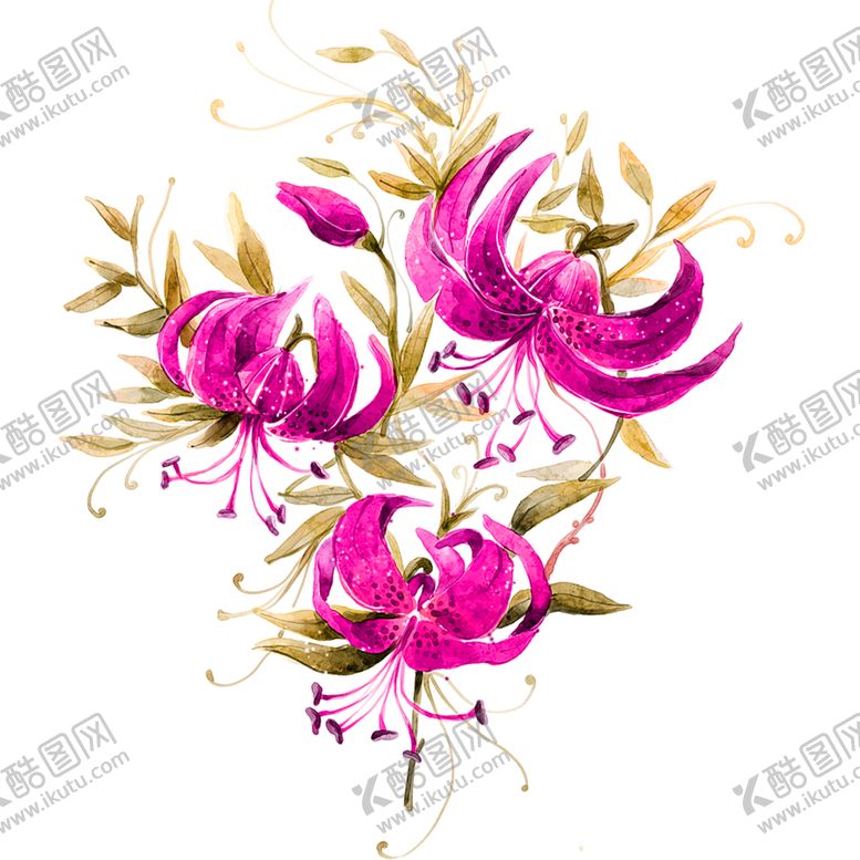 编号：56638309161959281759【酷图网】源文件下载-鲜花素材