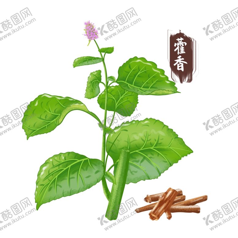 编号：59373001271408071137【酷图网】源文件下载-中药手绘插画