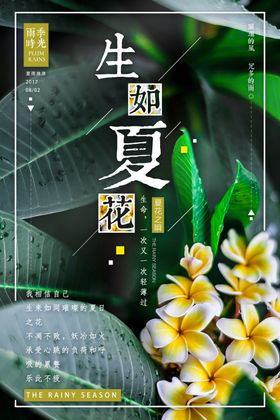 简洁生如夏花主题海报