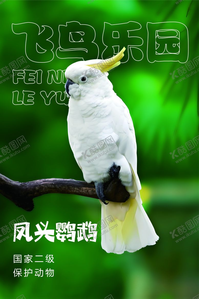 编号：27856101200713048560【酷图网】源文件下载-凤头鹦鹉