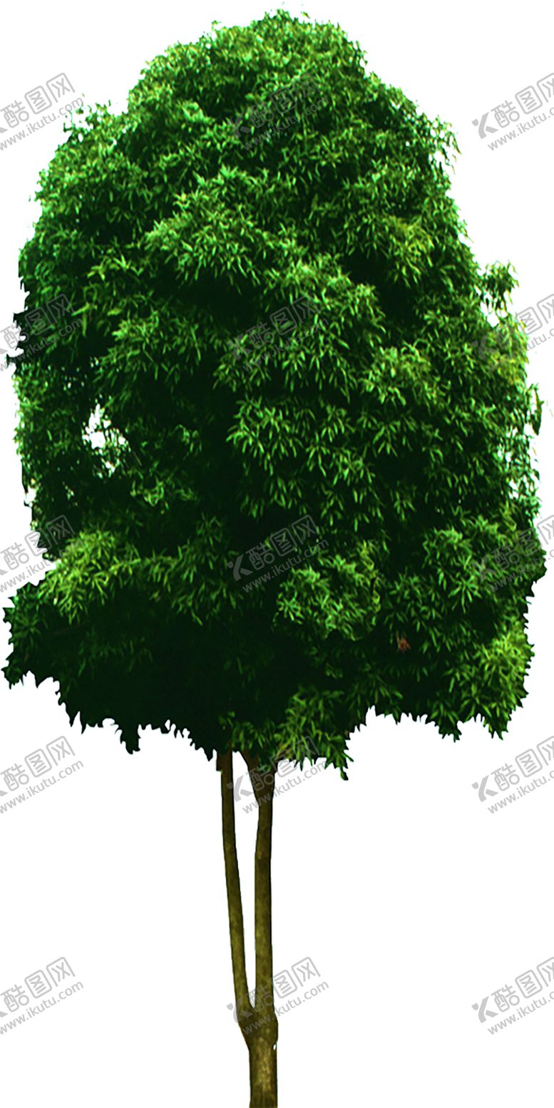 编号：51923909121300478645【酷图网】源文件下载-绿色装饰