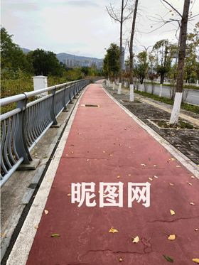 小孩过马路