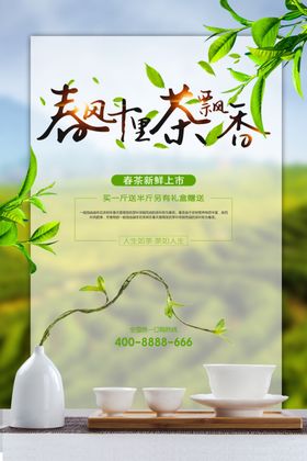 春茶上市