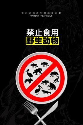 保护野生动物