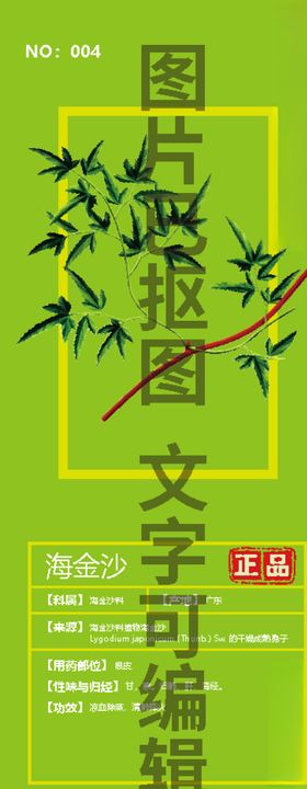 海金沙