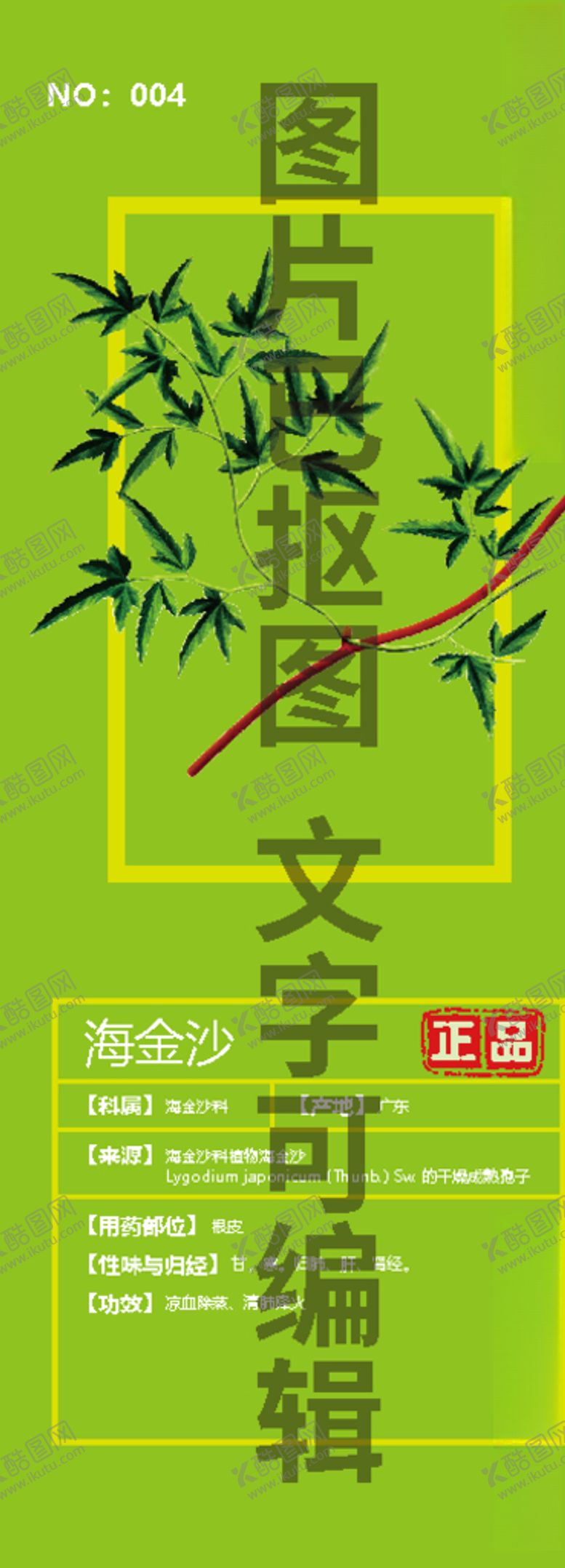 编号：30582810210034389197【酷图网】源文件下载-海金沙