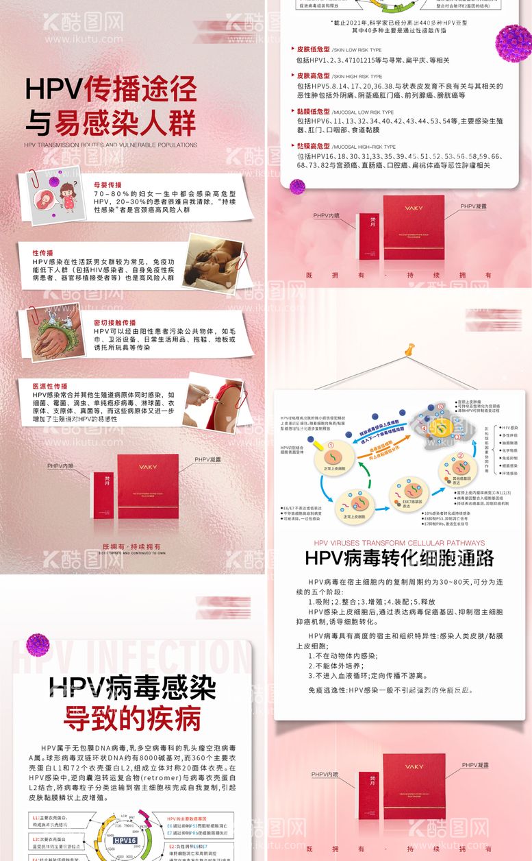 编号：56810211281055462292【酷图网】源文件下载-HPV宣传海报