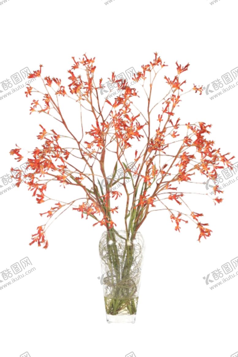 编号：30026809202351136393【酷图网】源文件下载-免抠背景花草树木