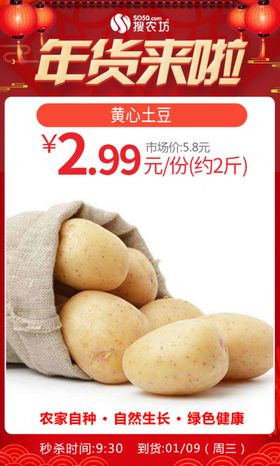 年货节黄心土豆