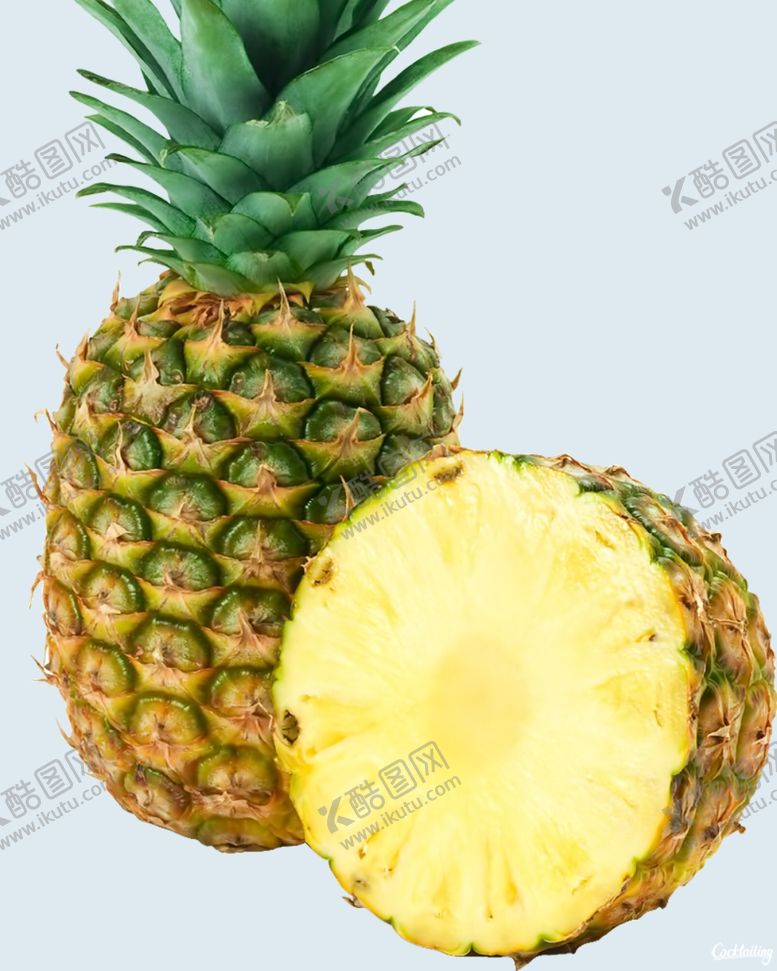 编号：26263501190500058254【酷图网】源文件下载-菠萝