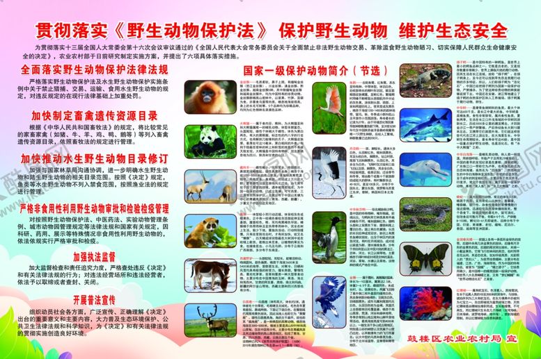 编号：65732709190558446133【酷图网】源文件下载-保护野生动物展板PSD分层可编