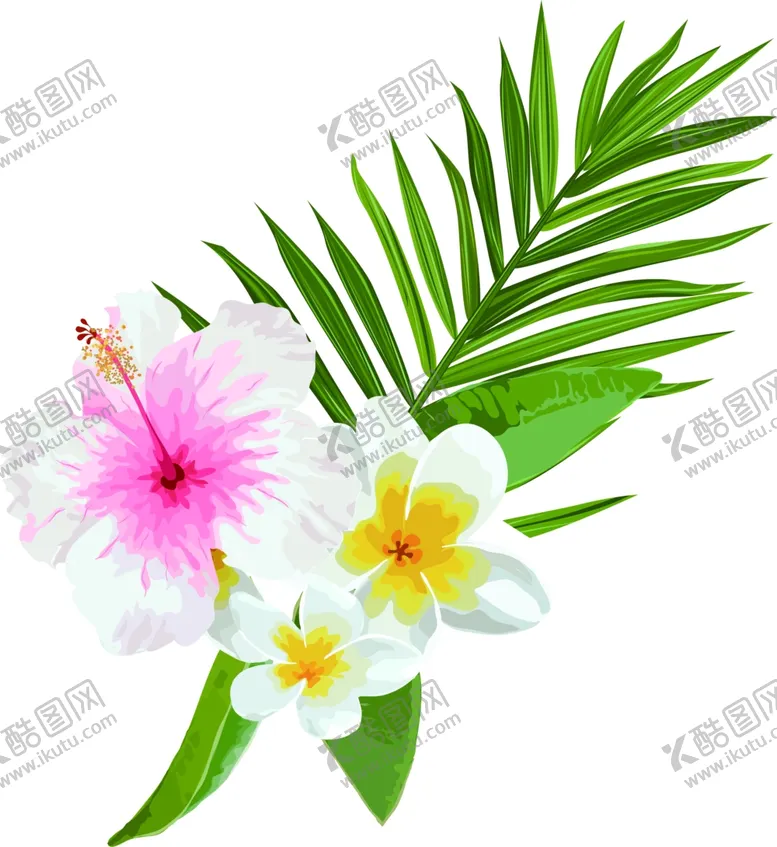 编号：65491602031943449491【酷图网】源文件下载-水彩植物