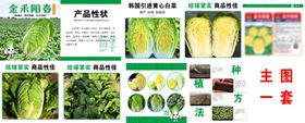 多样蔬菜种子展示图