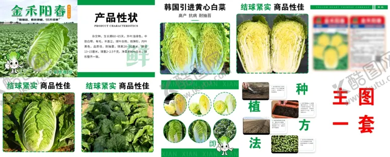 编号：11541806291630049049【酷图网】源文件下载-多样蔬菜种子展示图