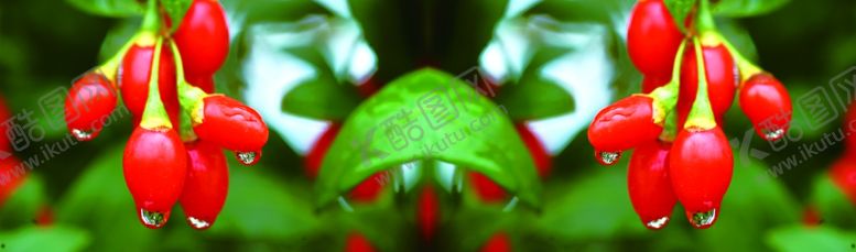 编号：98304709202135232139【酷图网】源文件下载-果实