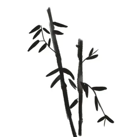 水墨竹子PNG