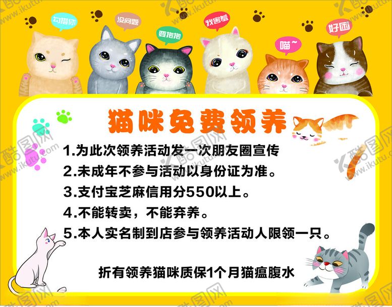 编号：43899801140809002226【酷图网】源文件下载-猫咪领养