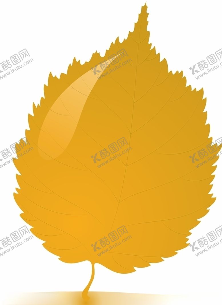 编号：76225605160221036377【酷图网】源文件下载-叶子