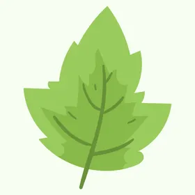 植物花叶子手绘卡通