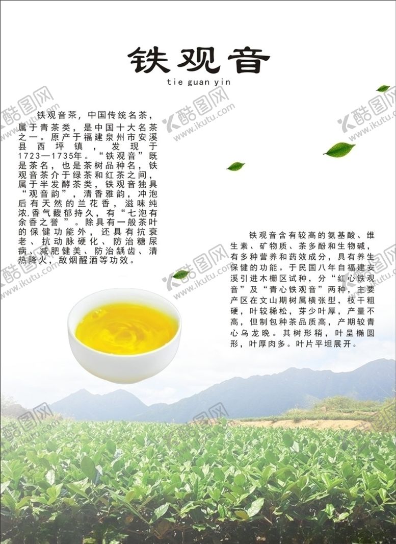 编号：23884110192141241677【酷图网】源文件下载-铁观音海报