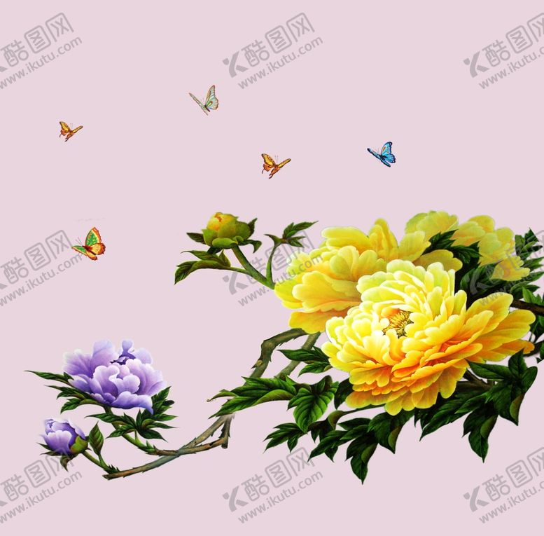 编号：44108307070835291812【酷图网】源文件下载-牡丹花