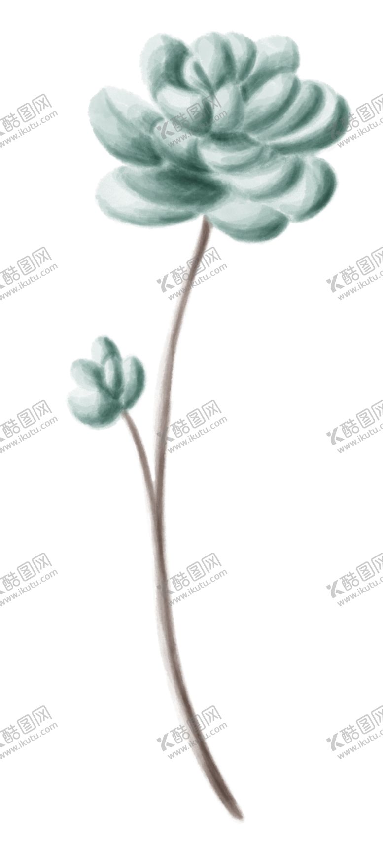 编号：93914710180248295285【酷图网】源文件下载-清新手绘植物