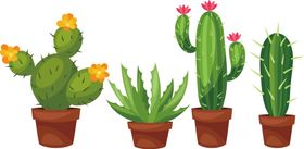 png格式植物花卉手绘素材插图盆栽卡通朵