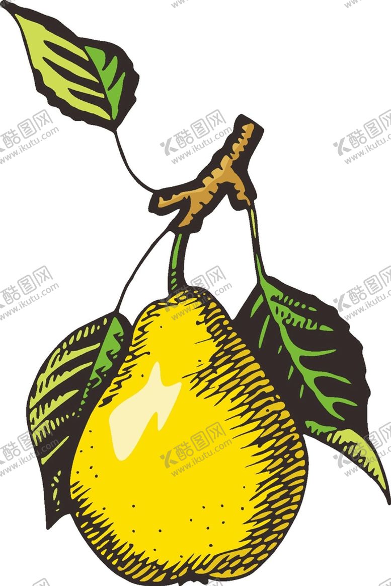 编号：41995510240052072782【酷图网】源文件下载-鸭梨
