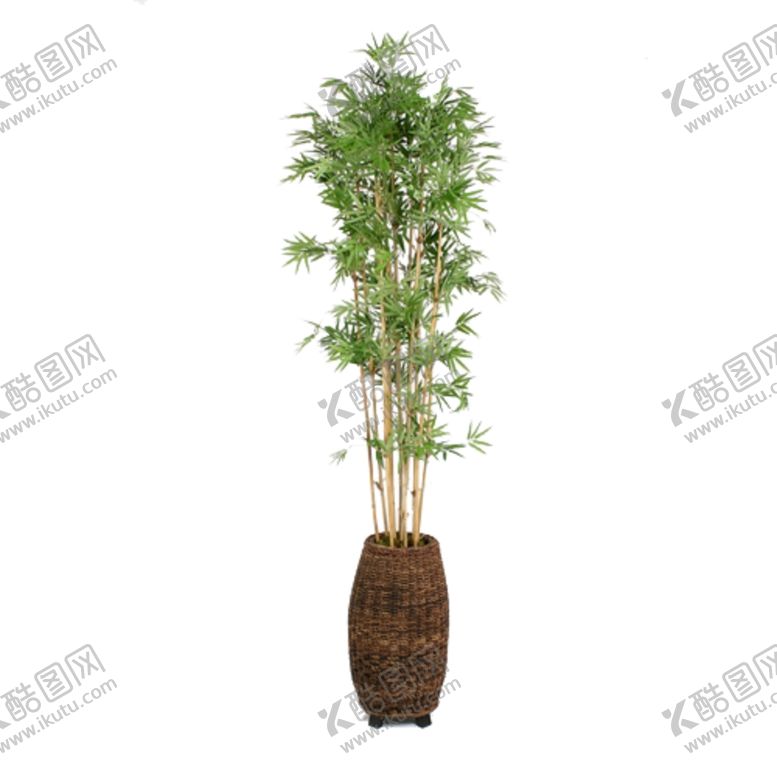 编号：43151710021924548522【酷图网】源文件下载-免抠背景花草树木