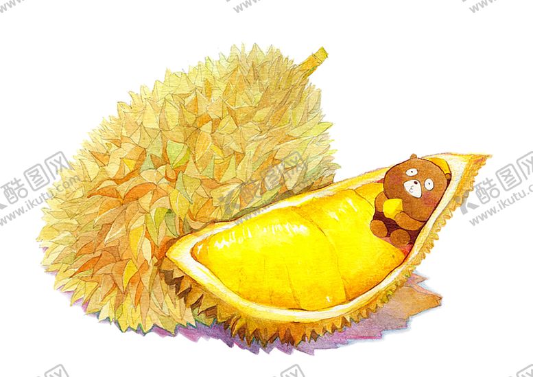 编号：12422009091506179712【酷图网】源文件下载-榴莲