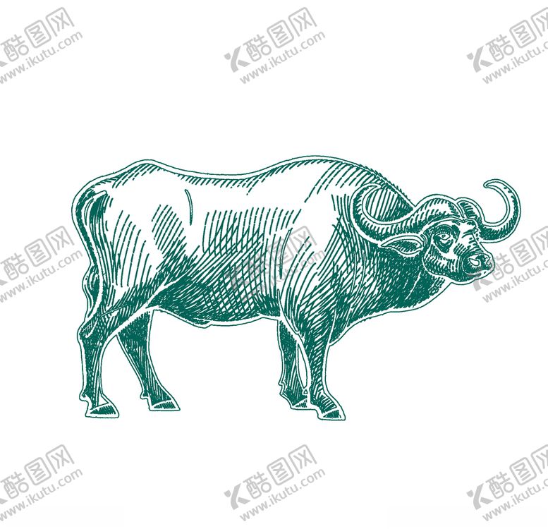 编号：39324909260502548134【酷图网】源文件下载-水牛