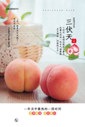 三伏天海报
