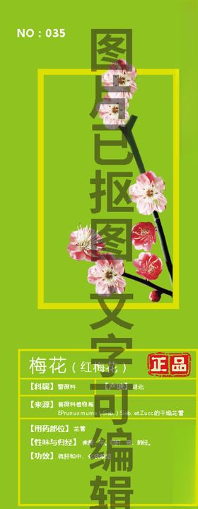 梅花红梅花