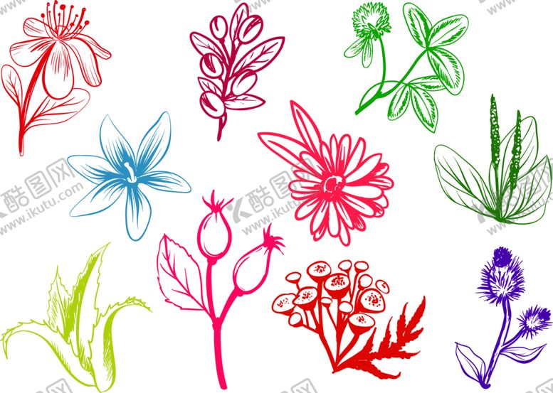 编号：44260109191729401143【酷图网】源文件下载-鲜花素材