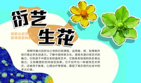 衍艺生花艺术素材展示