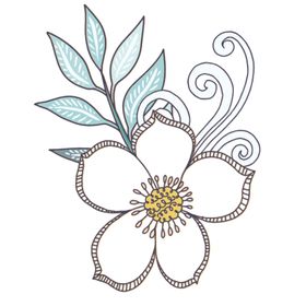 小清新花朵植物插画
