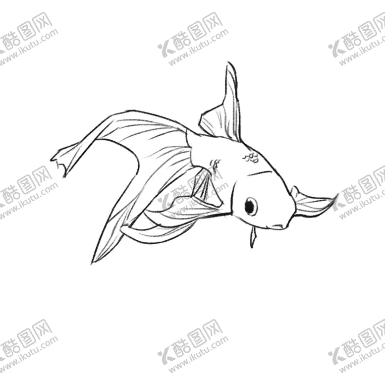 编号：31771106260241421976【酷图网】源文件下载-金鱼线稿