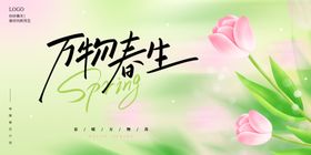 万物萌春郁金香绽放春天