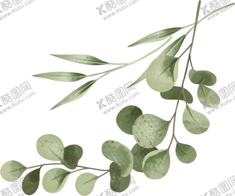 编号：54527210110742099650【酷图网】源文件下载-水彩树叶