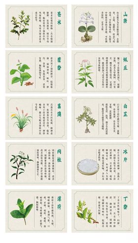 常见草药图示