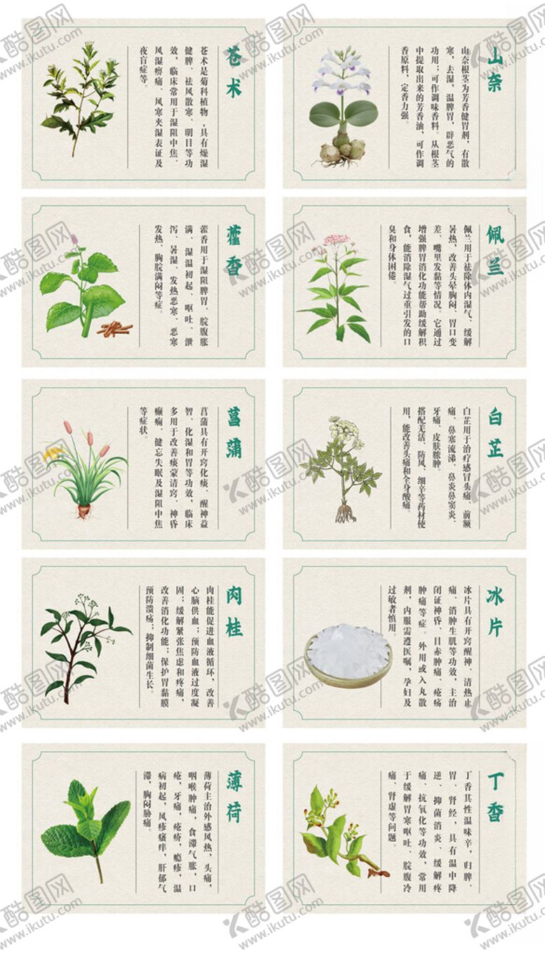 编号：56519212192158426103【酷图网】源文件下载-常见草药图示