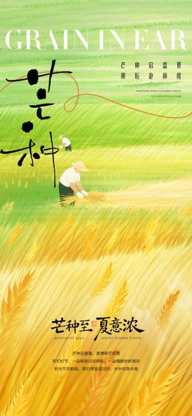 简约芒种节气海报