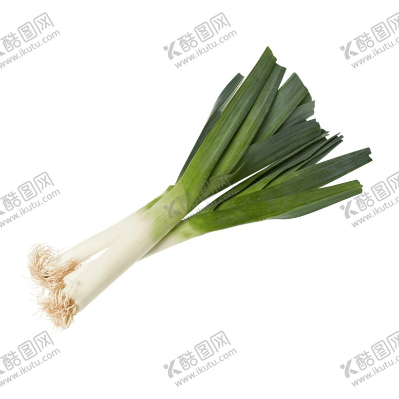 编号：65378509210712232596【酷图网】源文件下载-大葱