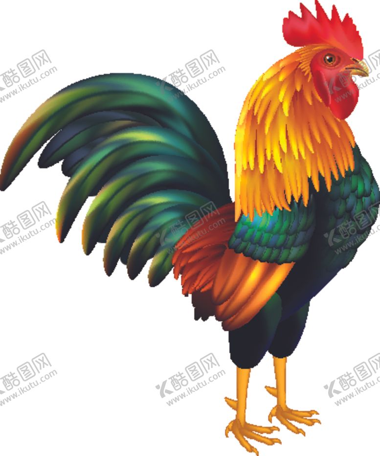编号：76484909101731424697【酷图网】源文件下载-大公鸡
