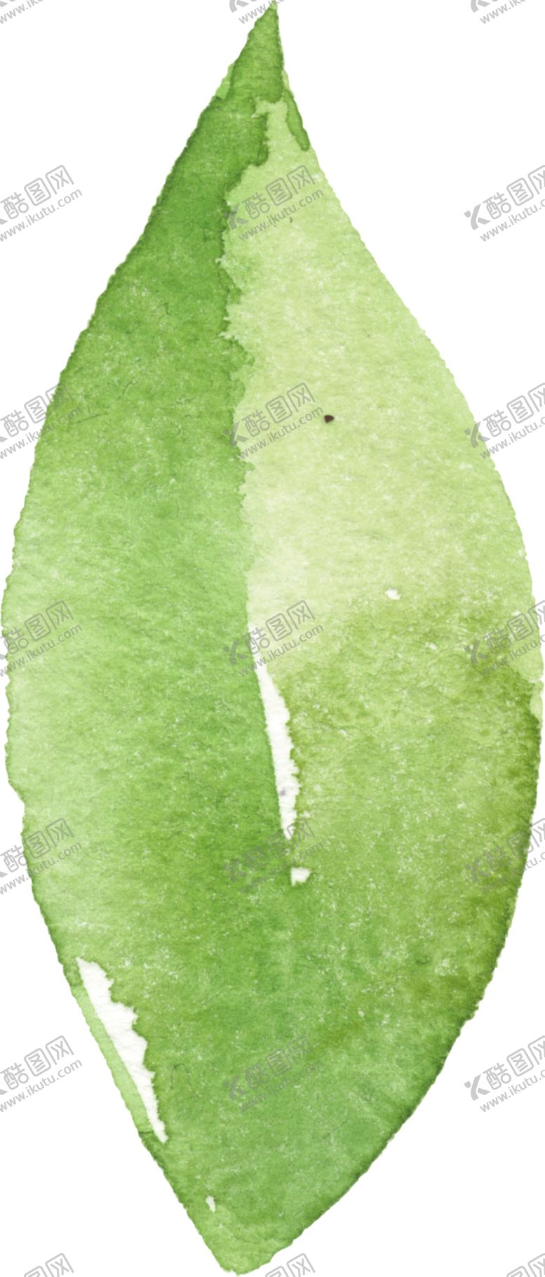 编号：51908509141337169608【酷图网】源文件下载-水彩手绘花卉花朵植物