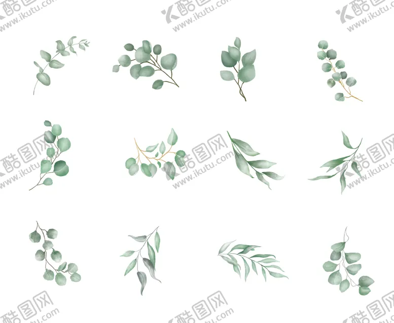 编号：40392709131257360721【酷图网】源文件下载-水彩叶子树叶春天