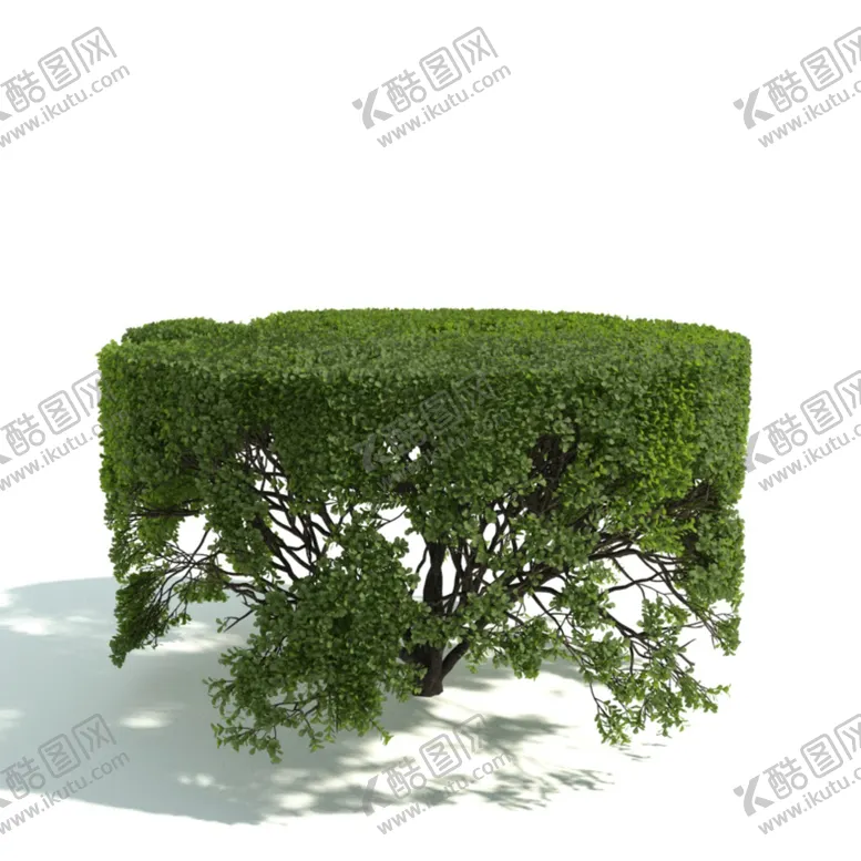 编号：53342802101223482532【酷图网】源文件下载-园艺模型 园林植物 园林模型 