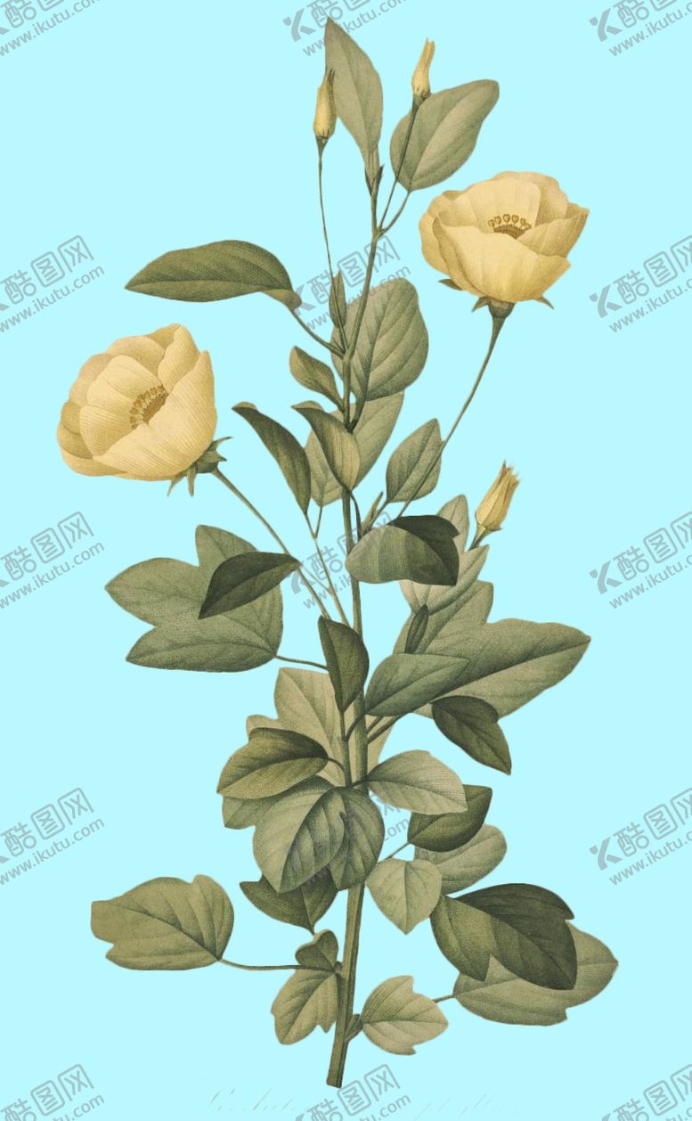 编号：63456609270149545730【酷图网】源文件下载-手绘花朵